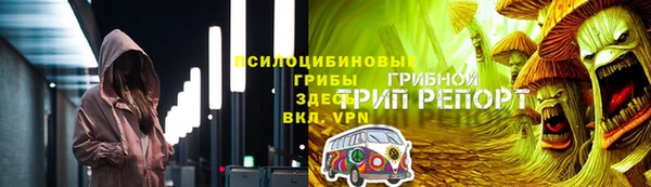 гашик Белокуриха