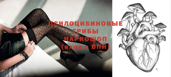 гашик Белокуриха