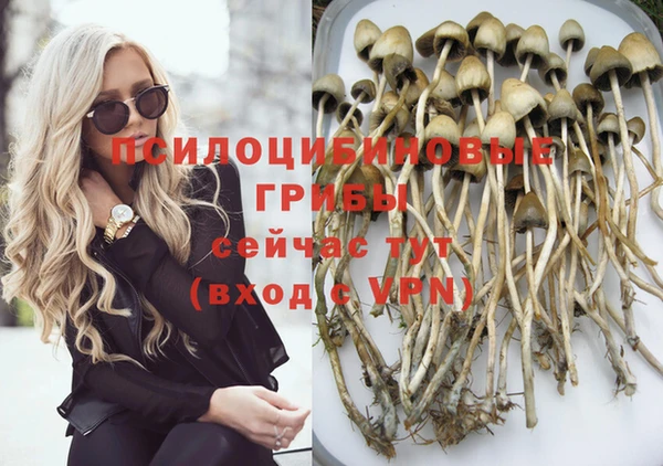 гашик Белокуриха