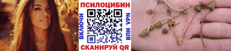 магазин  наркотиков  Городец  Псилоцибиновые грибы ЛСД 