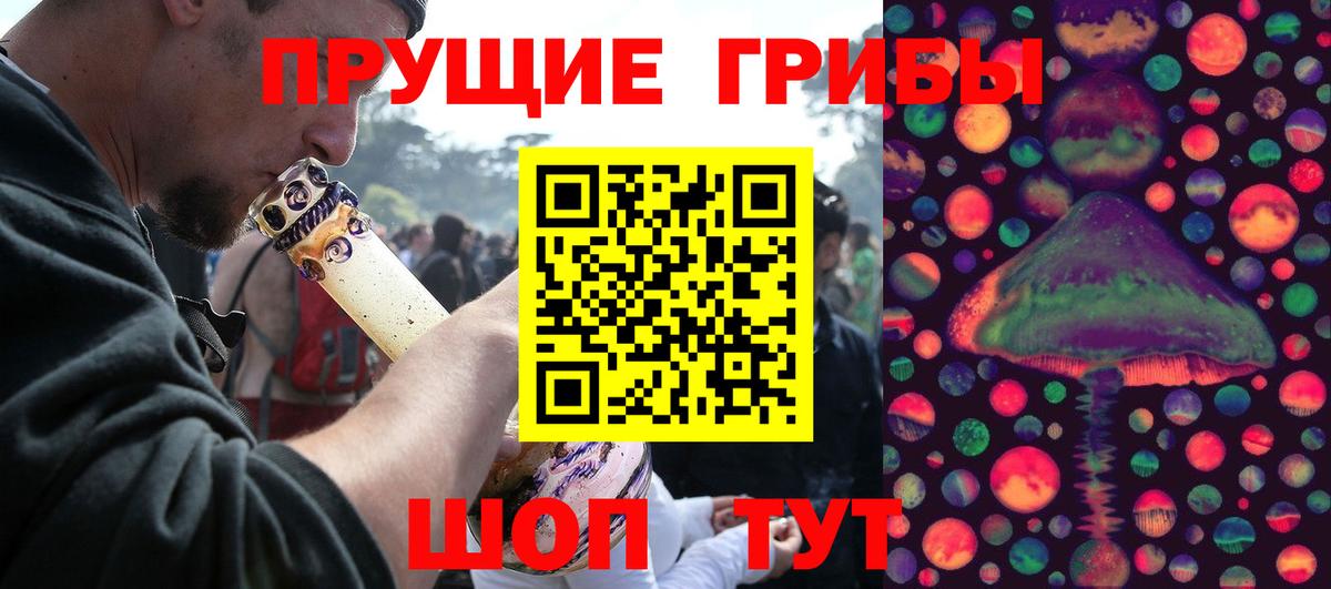 Городец  Псилоцибиновые грибы прущие грибы  Вход с VPN 