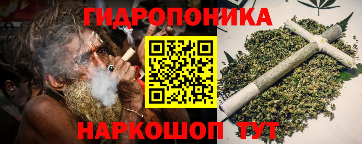 Конопля сатива Городец